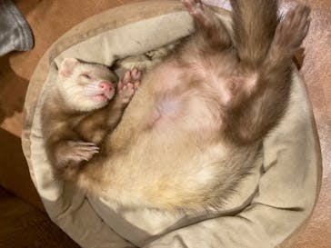 HARRY　横浜中華街店に投稿された画像（2021/12/30）