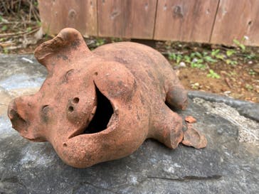 OKINAWAフルーツらんどに投稿された画像（2021/12/30）