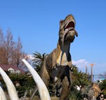 伊豆ぐらんぱる公園に投稿された画像（2021/12/30）