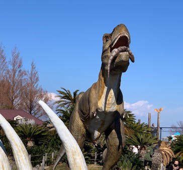 伊豆ぐらんぱる公園に投稿された画像（2021/12/30）