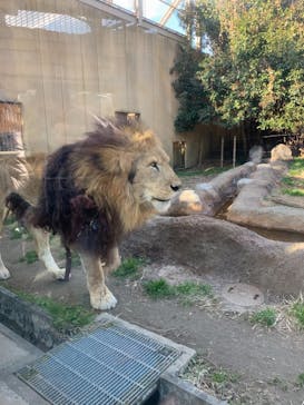 東武動物公園に投稿された画像（2021/12/30）