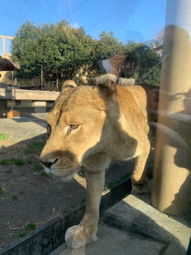 東武動物公園に投稿された画像（2021/12/30）