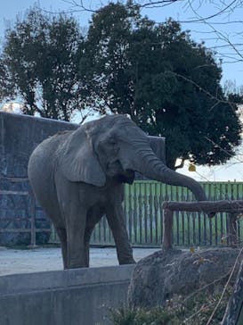 東武動物公園に投稿された画像（2021/12/30）