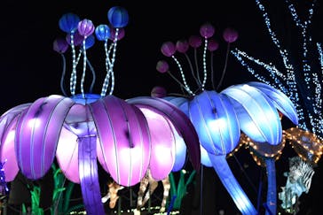 東武動物公園に投稿された画像（2021/12/30）