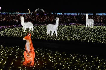 東武動物公園に投稿された画像（2021/12/30）