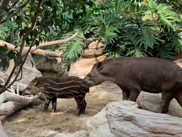 神戸どうぶつ王国に投稿された画像（2021/12/30）