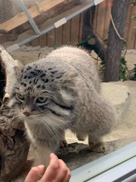 神戸どうぶつ王国に投稿された画像（2021/12/30）