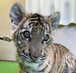 しろとり動物園に投稿された画像（2021/12/30）