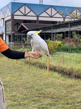 ネオパークオキナワに投稿された画像（2021/12/30）