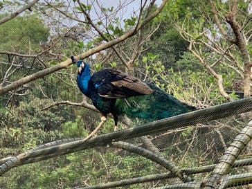 ネオパークオキナワに投稿された画像（2021/12/30）