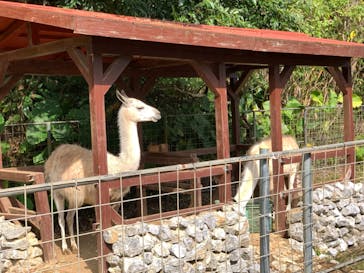 ネオパークオキナワに投稿された画像（2021/12/30）