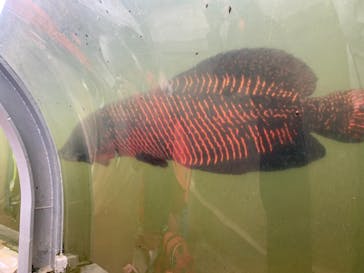 ネオパークオキナワに投稿された画像（2021/12/30）