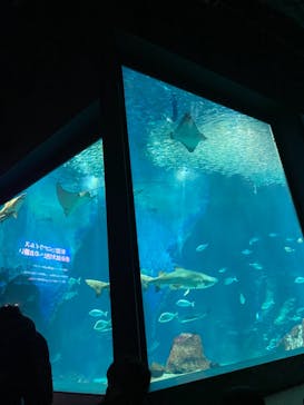 マリンワールド海の中道に投稿された画像（2021/12/30）