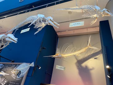 マリンワールド海の中道に投稿された画像（2021/12/30）