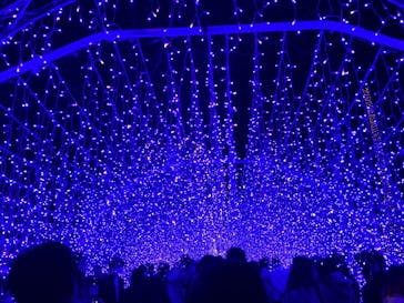 江の島シーキャンドルに投稿された画像（2021/12/30）