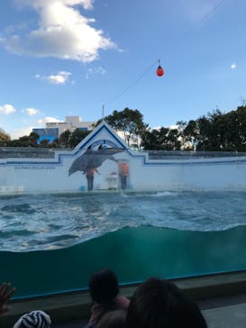 しながわ水族館に投稿された画像（2021/12/30）
