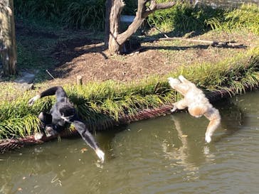 伊豆シャボテン動物公園に投稿された画像（2021/12/30）