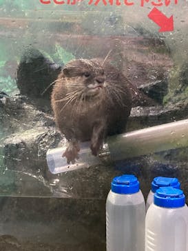 伊豆シャボテン動物公園に投稿された画像（2021/12/30）