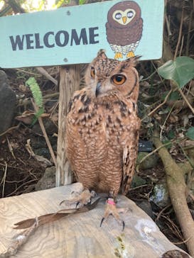 伊豆シャボテン動物公園に投稿された画像（2021/12/30）