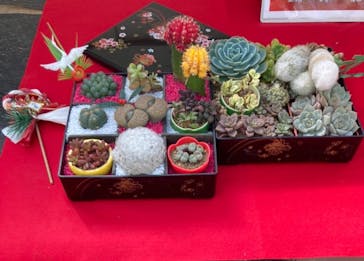 伊豆シャボテン動物公園に投稿された画像（2021/12/30）