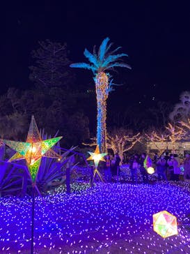 江の島シーキャンドルに投稿された画像（2021/12/30）