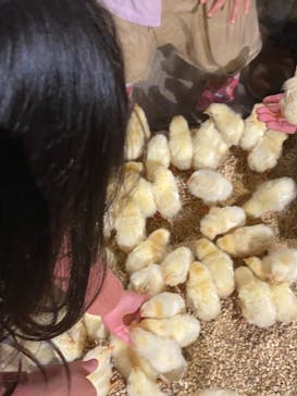 Moff animal world MARK IS みなとみらい店に投稿された画像（2021/12/30）