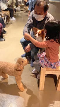 Moff animal world MARK IS みなとみらい店に投稿された画像（2021/12/30）