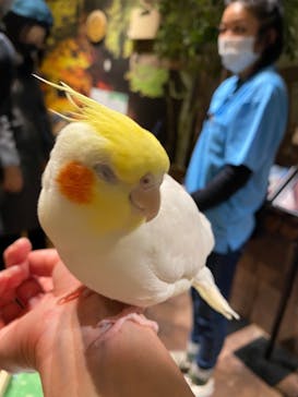 Moff animal world MARK IS みなとみらい店に投稿された画像（2021/12/30）