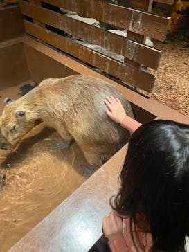 Moff animal world MARK IS みなとみらい店に投稿された画像（2021/12/30）