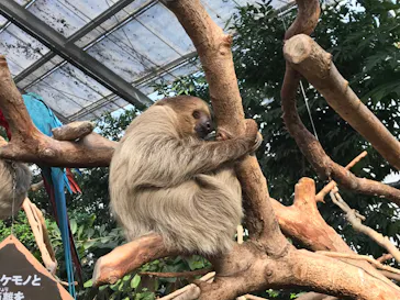 神戸どうぶつ王国に投稿された画像（2021/12/30）