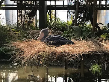 神戸どうぶつ王国に投稿された画像（2021/12/30）