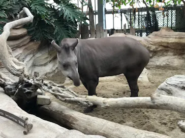 神戸どうぶつ王国に投稿された画像（2021/12/30）