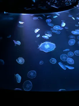 すみだ水族館に投稿された画像（2021/12/30）