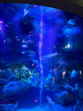 すみだ水族館に投稿された画像（2021/12/30）