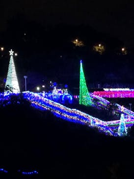 クリスマスファンタジー実行委員会に投稿された画像（2021/12/30）