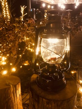 いばらきフラワーパークに投稿された画像（2021/12/30）