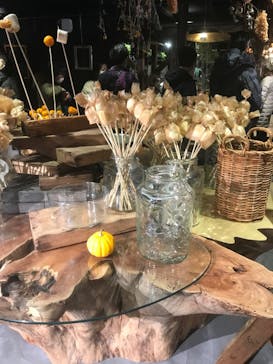 いばらきフラワーパークに投稿された画像（2021/12/30）