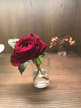 いばらきフラワーパークに投稿された画像（2021/12/30）