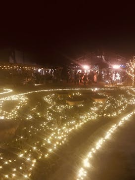 いばらきフラワーパークに投稿された画像（2021/12/30）