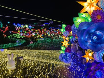 伊豆ぐらんぱる公園に投稿された画像（2021/12/30）