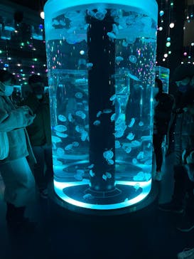 マクセル アクアパーク品川に投稿された画像（2021/12/30）