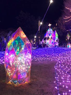 江の島シーキャンドルに投稿された画像（2021/12/30）