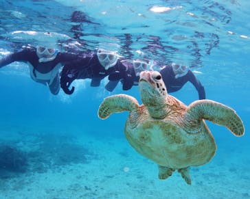 アマミエンシスに投稿された画像（2021/12/30）