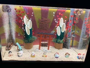 串本海中公園水族館に投稿された画像（2021/12/30）