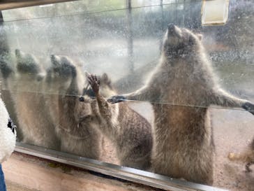 長崎バイオパークに投稿された画像（2021/12/30）