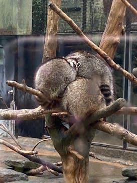 長崎バイオパークに投稿された画像（2021/12/30）