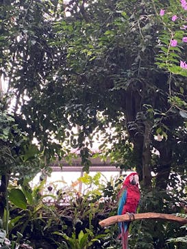 長崎バイオパークに投稿された画像（2021/12/30）