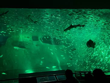 南知多ビーチランド＆南知多おもちゃ王国に投稿された画像（2021/12/30）