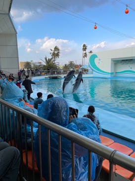 南知多ビーチランド＆南知多おもちゃ王国に投稿された画像（2021/12/30）