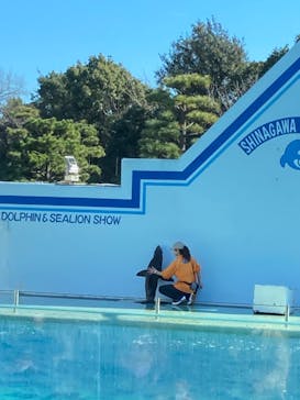 しながわ水族館に投稿された画像（2021/12/30）